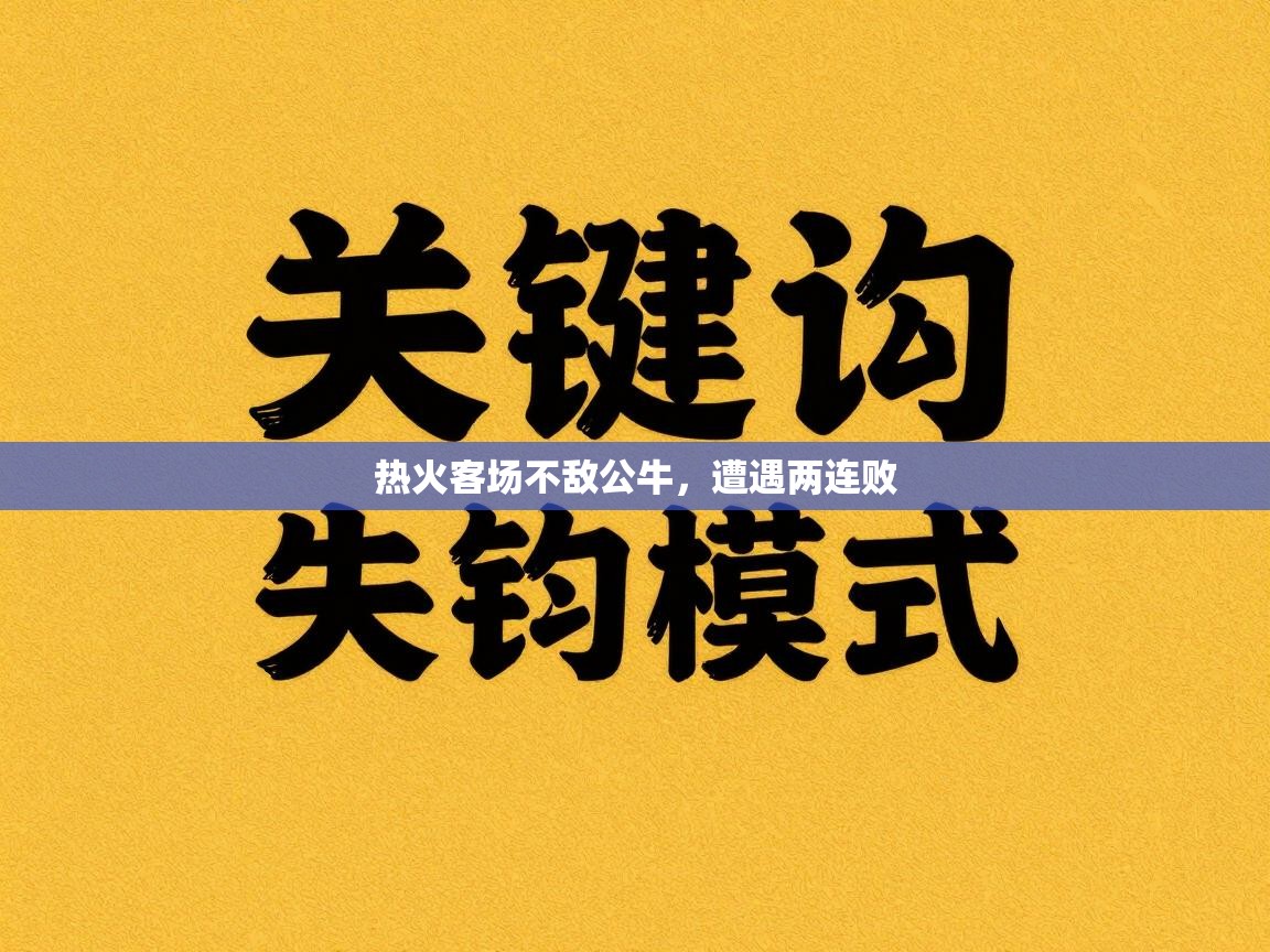 热火客场不敌公牛，遭遇两连败  第2张