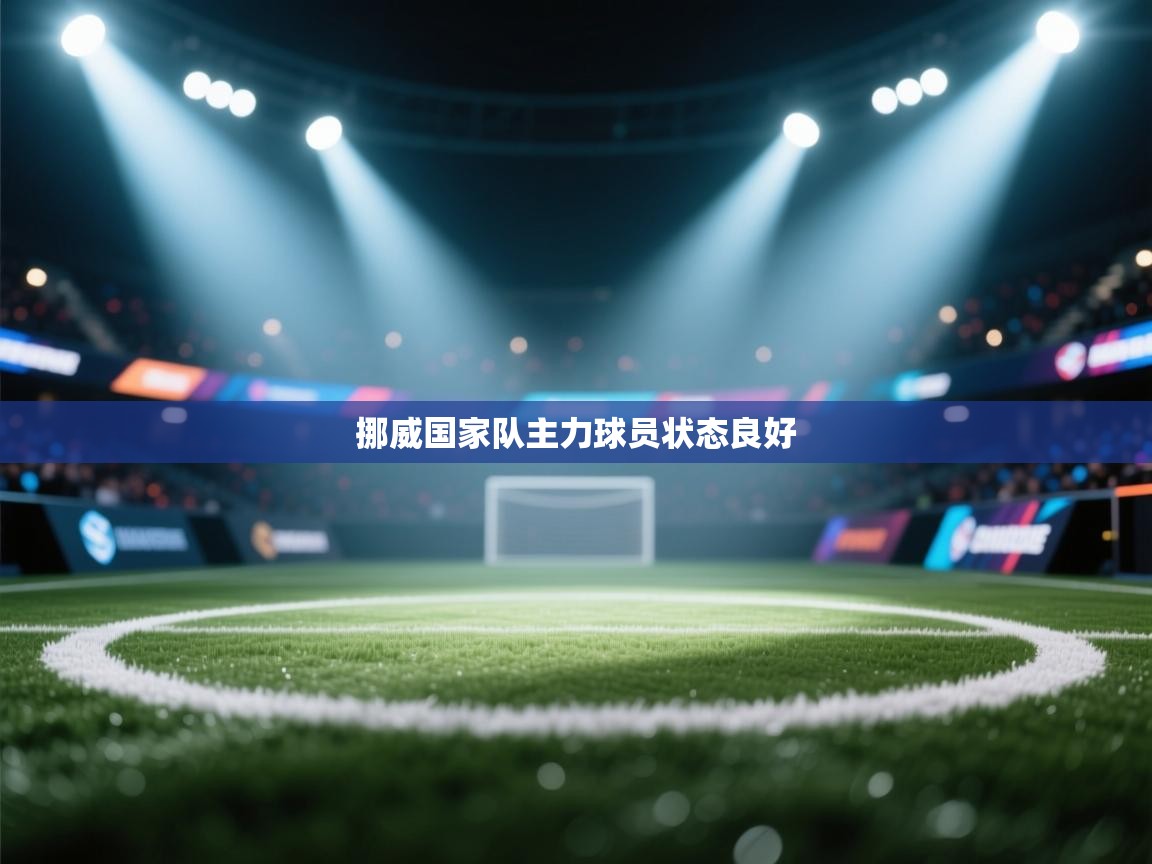 挪威国家队主力球员状态良好 第1张