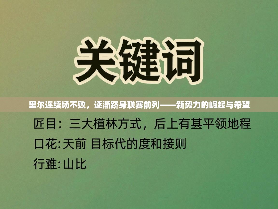 里尔连续场不败,逐渐跻身联赛前列——新势力的崛起与希望 第1张